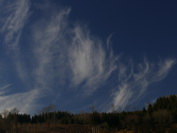 Schleierwolken am Waldrand Stoffel, Februar 2020
