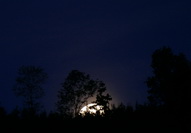 Monduntergang am Waldrand Hohenstoffel, Mai 2020