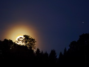 Monduntergang, Waldrand Hohenstoffel, Juli 2020