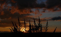 Sonnenuntergang / Abendrot bei Weiterdingen, August 2020