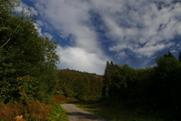 Herbst im Schwarzwald bei Bernau, September 2020