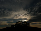 Leuchtende Wolken ber einer Baumgruppe beim Tannenberg, Hegau, September 2020