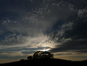 Leuchtende Wolken ber einer Baumgruppe beim Tannenberg, Hegau, September 2020