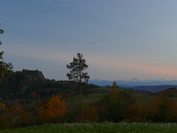 Sntisblick mit Hohentwiel, Herbstbumen vom Tannenberg/Hegau, Oktober 2020