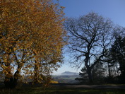 Panoramablick auf den Hohenstoffel vom alten Postweg, bei Weil, November 2020