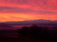 Morgenrot über den Hegaubergen, im Hintergrund die Alpen